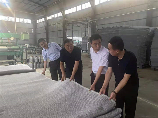 Leaders Inspect the Solid Woven Belt Workshop