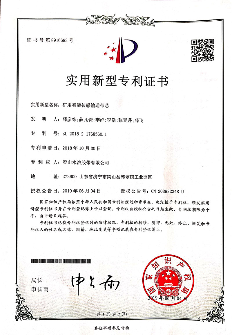 Patent