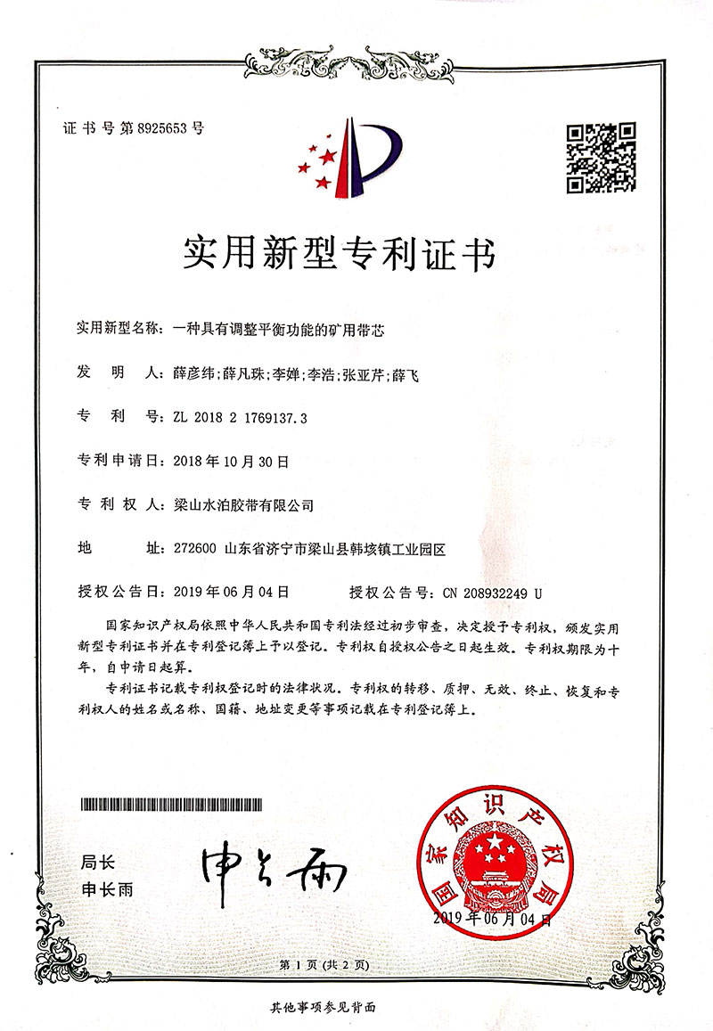 Patent