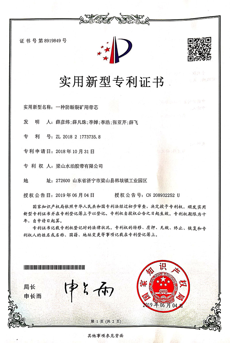 Patent