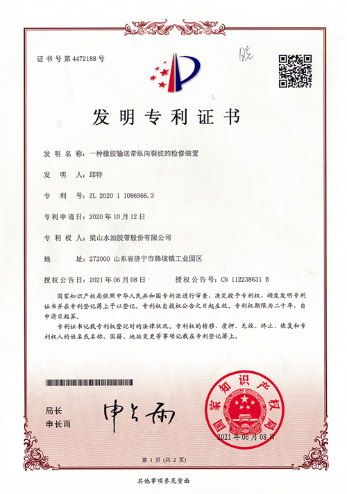 Patent
