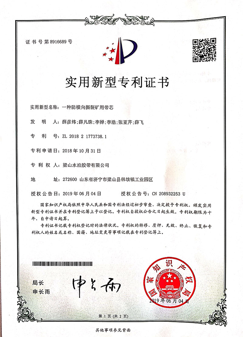 Patent