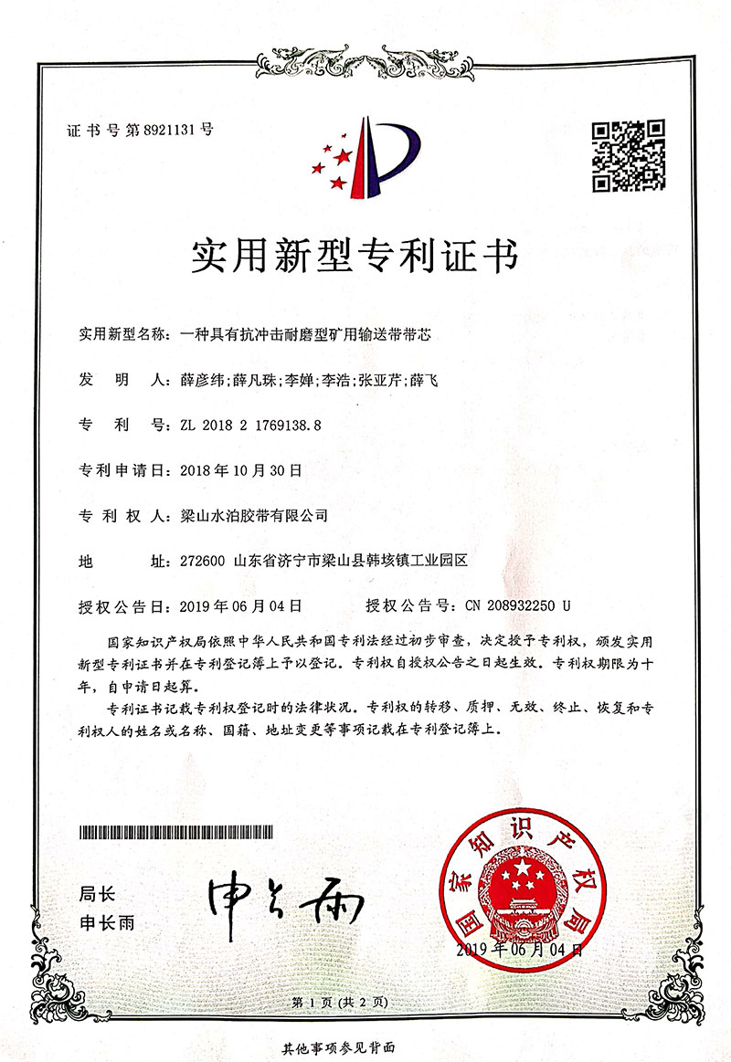 Patent