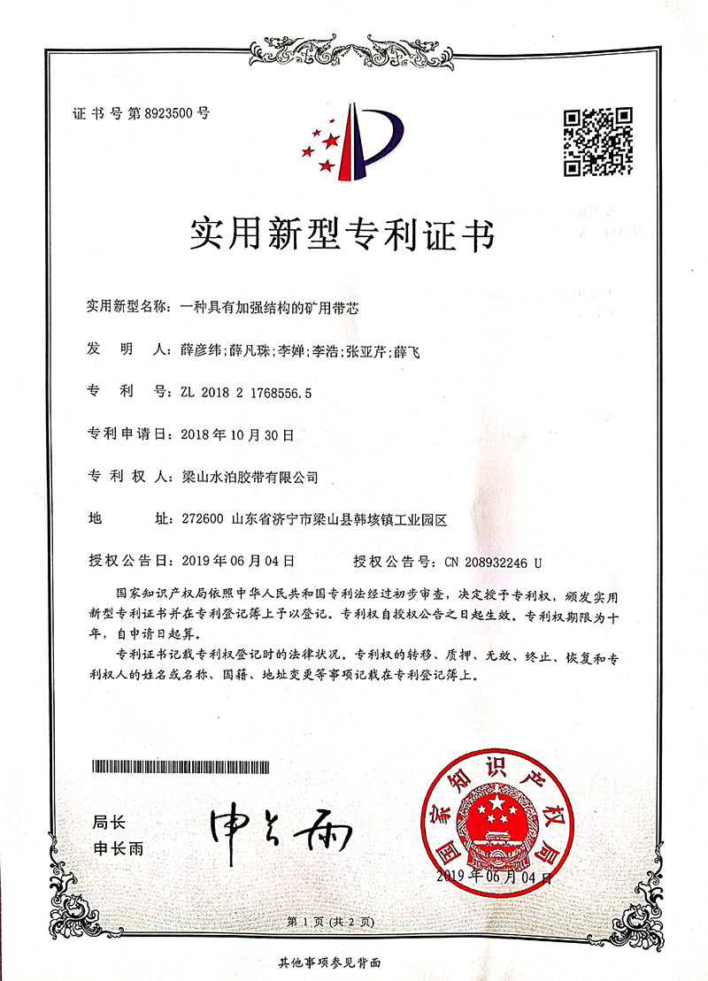 Patent