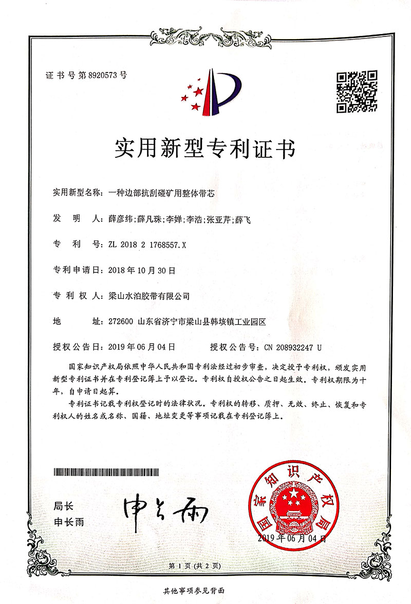Patent