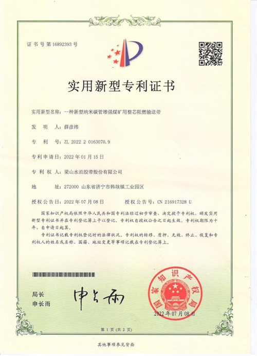 Patent