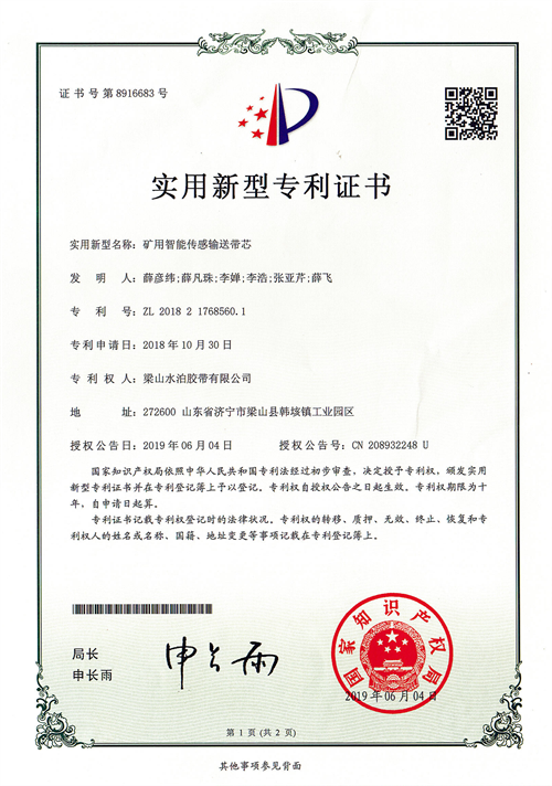Patent