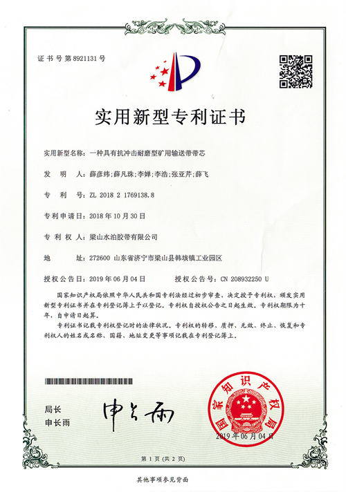 Patent