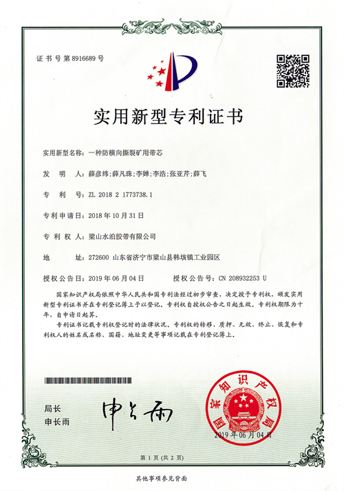 Patent