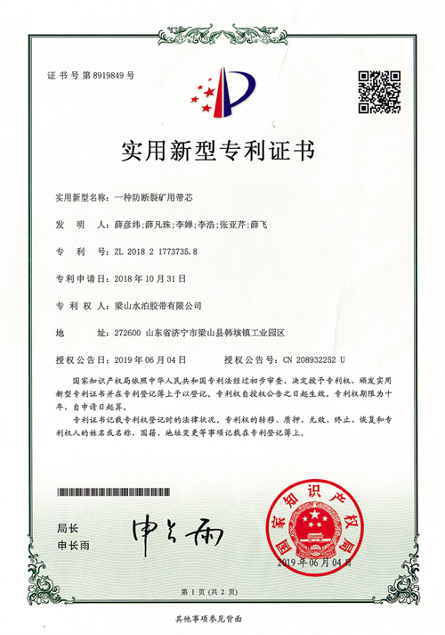 Patent