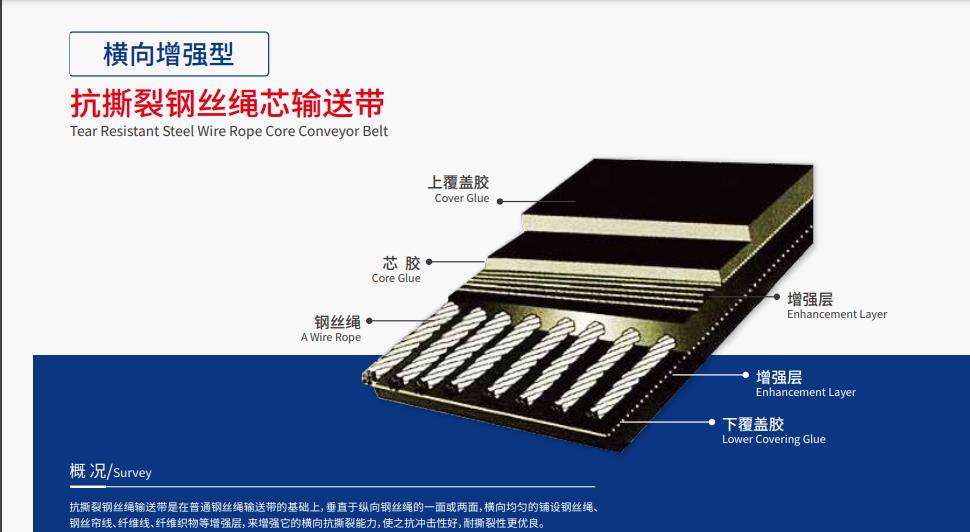 Steel Cord Conveyor Belt